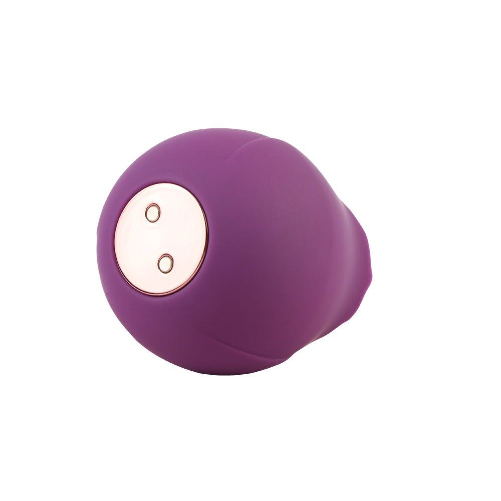 Basic Luv Theory Rose Rechargeable Clitoral Stimulator