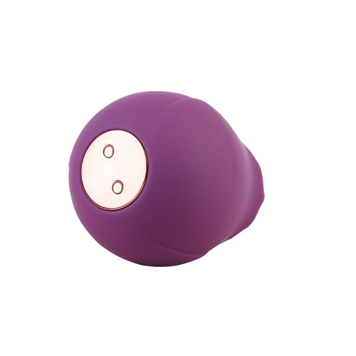 Basic Luv Theory Rose Rechargeable Clitoral Stimulator