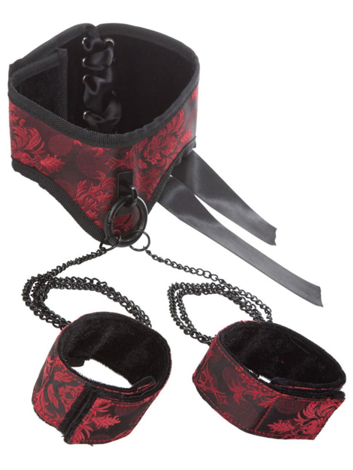 Scandal Posture Collar w Cuffs-2702