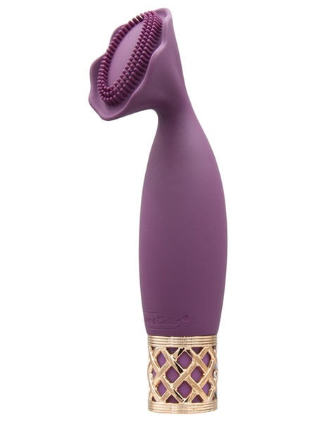 Pillow Talk Secrets Passion Mini Massager -wine