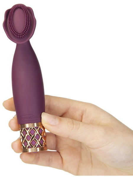 Pillow Talk Secrets Passion Mini Massager -wine