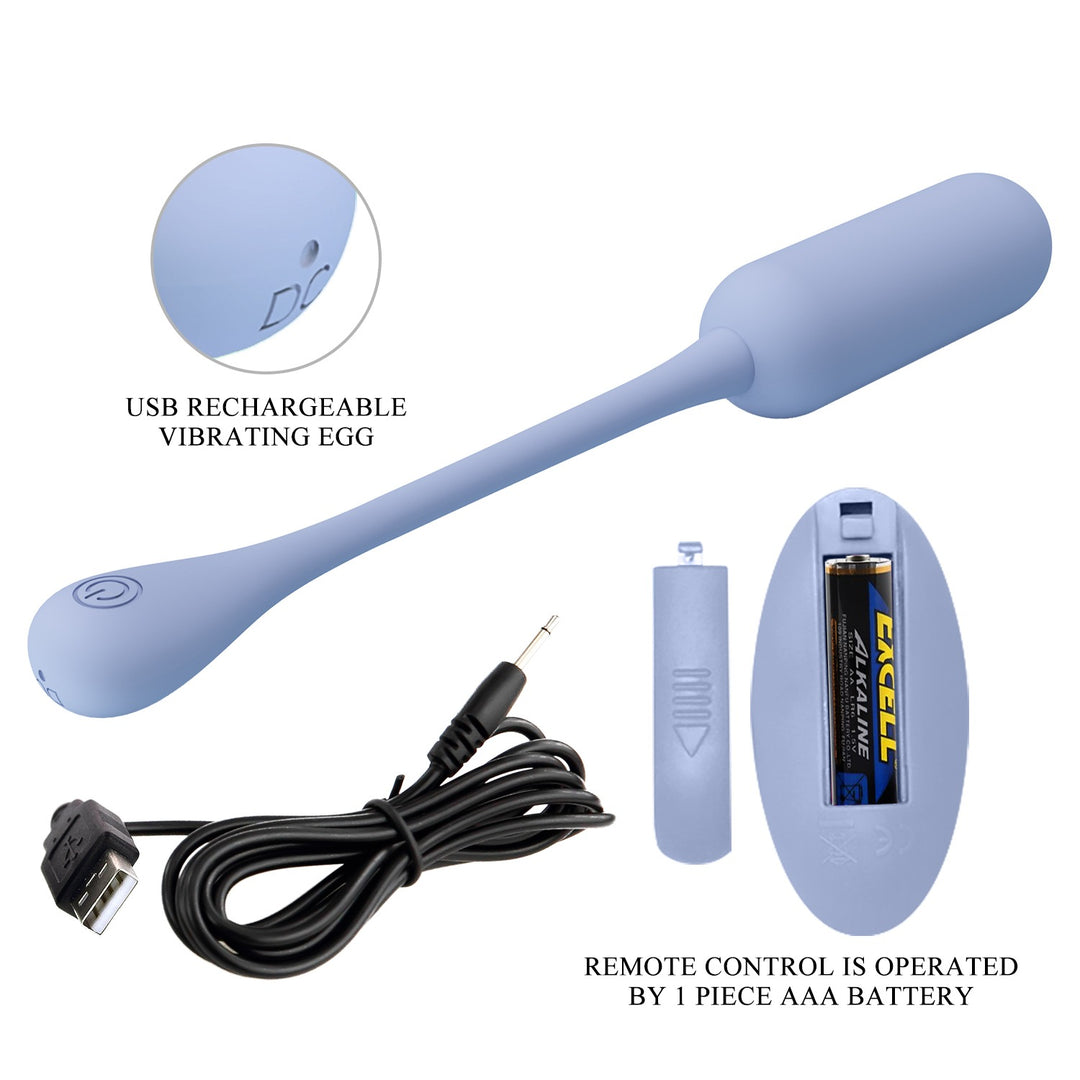 Pretty Love Lechies 5 Rechargeable Vibrating Egg with Remote Control