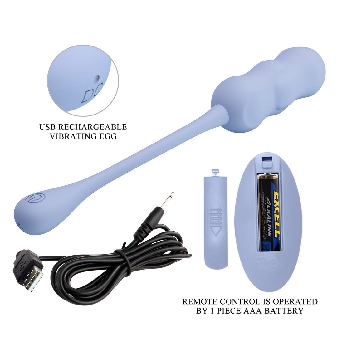 Pretty Love Leshy Rechargeable Vibrating Egg with Remote