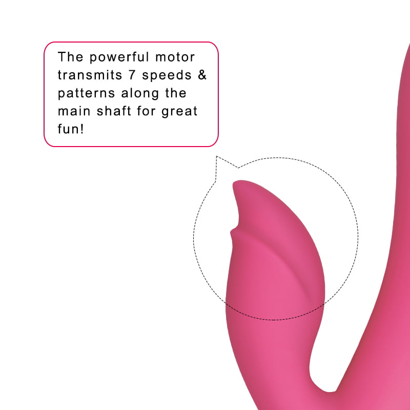 Lovetoy Dreamer G-Spot Rabbit Vibrator