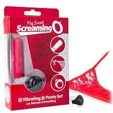 My Secret Screaming O Remote Control Panty Vibe