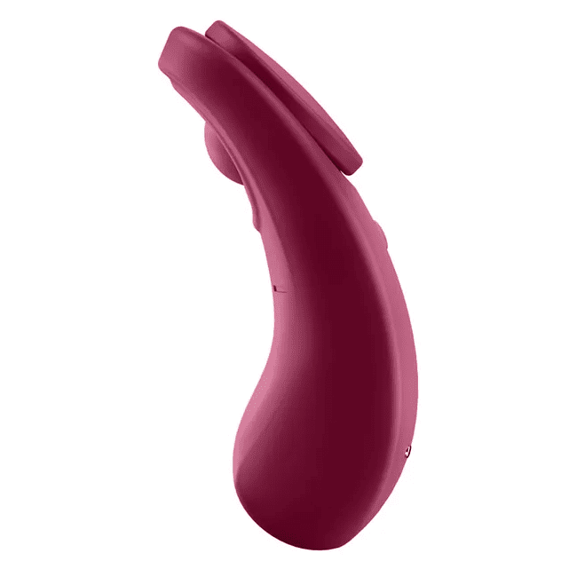 Satisfyer Sexy Secret Panty Vibrator with App Control